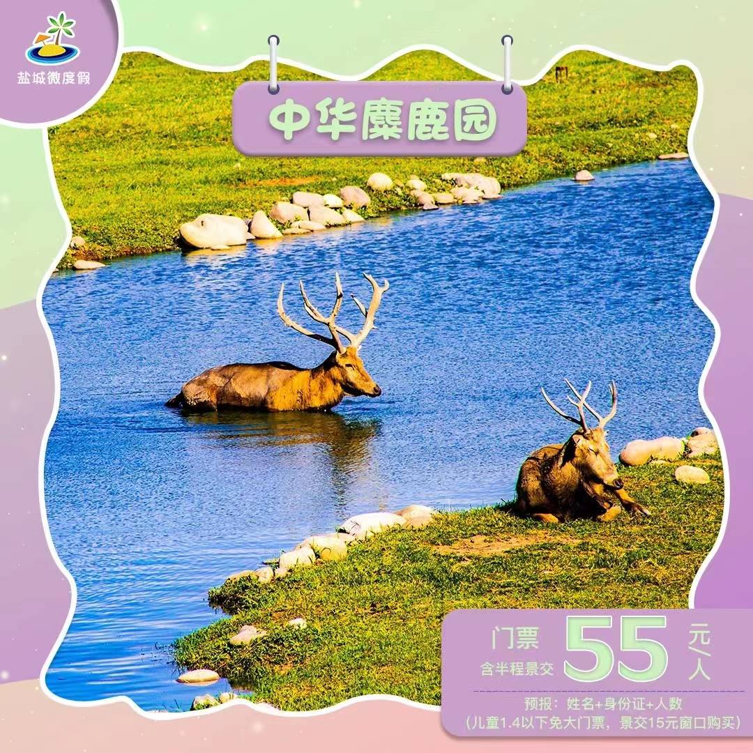 行程美圖