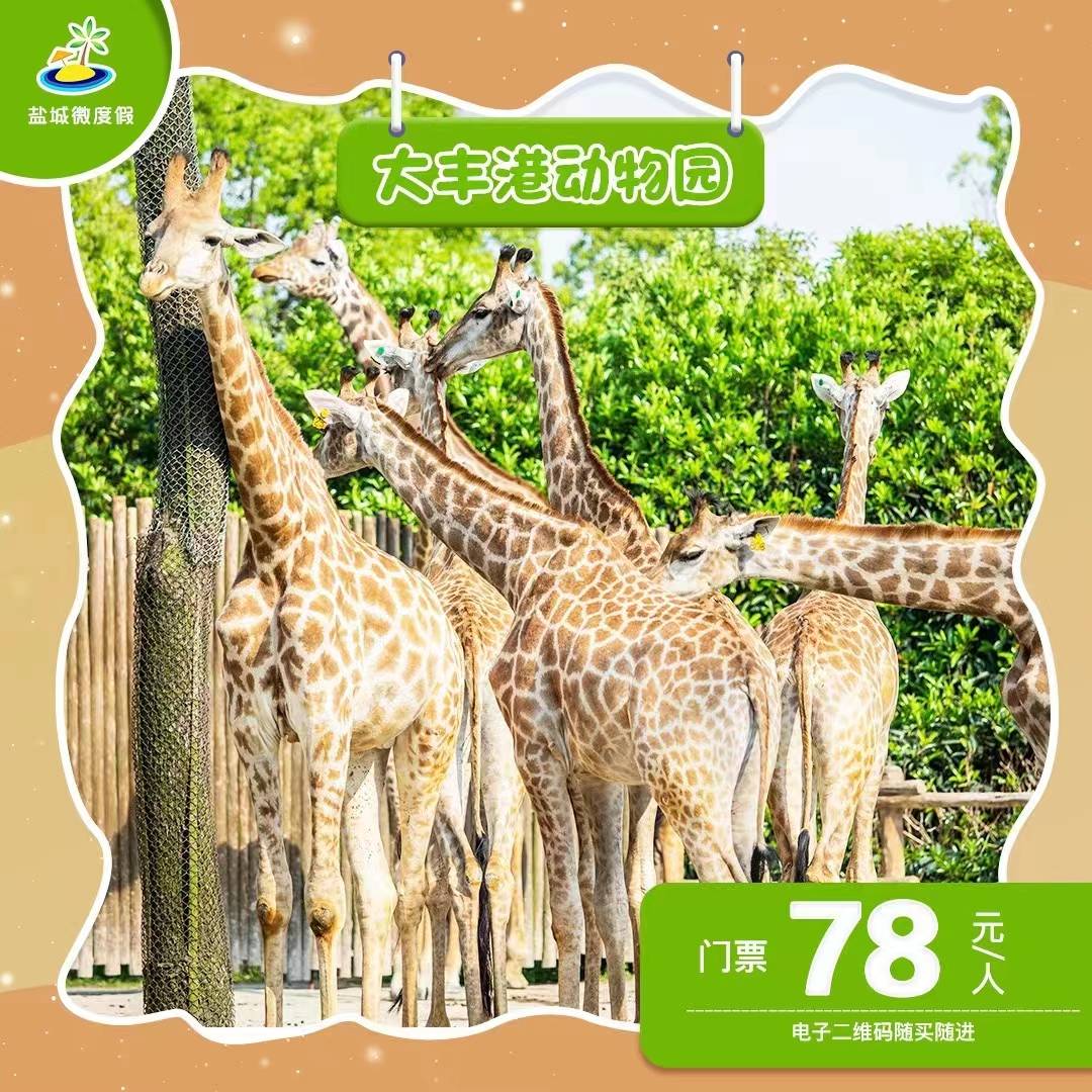行程美圖